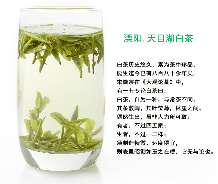 溧陽白茶精選新茶2016年春茶綠茶天目湖特產罐裝茶葉60g